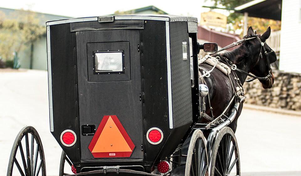 amish buggy with slow moving vehicle sign