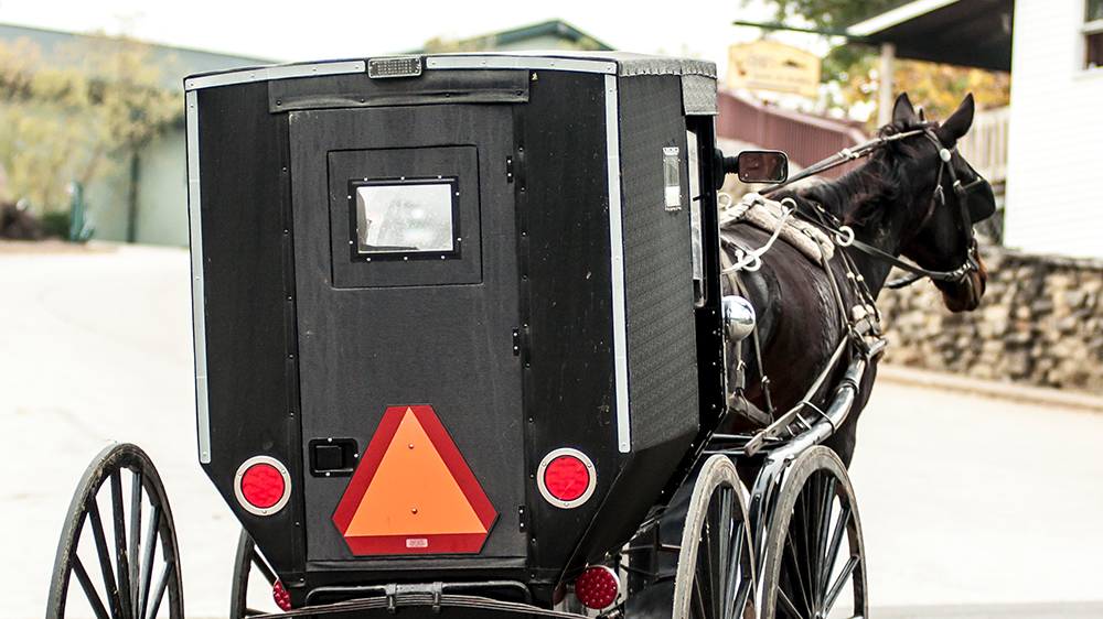amish buggy with slow moving vehicle sign